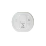 Carbon monoxide wireless detector