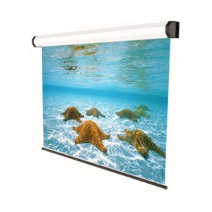 Ecran de proiectie electric Sopar PROFESIONAL Alb, 280 x 210cm,