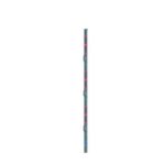 Bachmann prelungitor BN2000 24xC13 6xC19 cordon 3,0m CEE 32A;