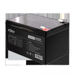 Acumulator nJoy GP12122F 12V 38.54W/cell evaluat la 1.65V/cell @ 15