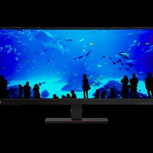 Monitor LED Lenovo ThinkVision T34w-20, 34inch, IPS UWQHD, 4ms, 60Hz,