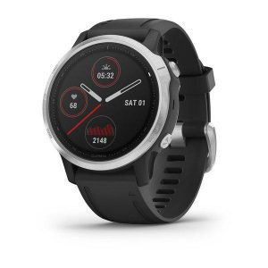 Ceas Smartwatch Garmin Fenix 6S, GPS, Silver w/Black Band