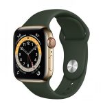 Ceas Smartwatch Apple Watch S6 GPS + Cellular Regular, 40mm,